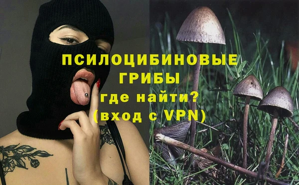 молекула духа Абинск